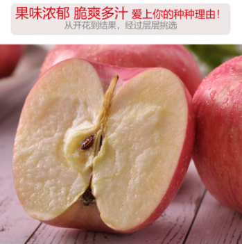 企业微信截图_20230327115430.png